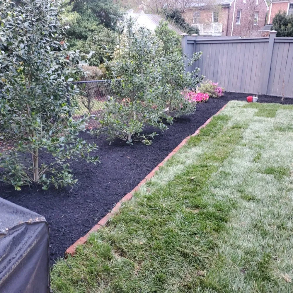 Top-rated landscape design in Highland Springs, VA by Araujo's lawncare