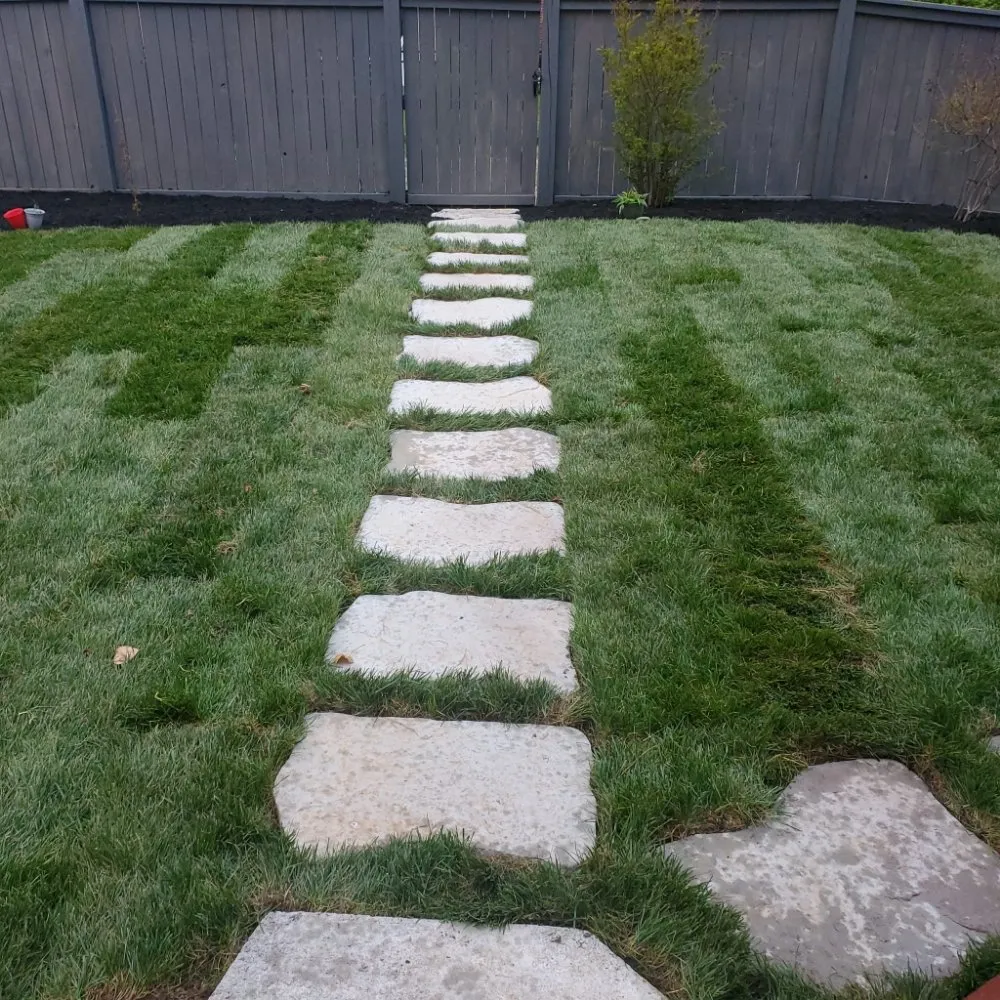 Professional landscaping services experts serving Highland Springs, VA - Araujo's lawncare