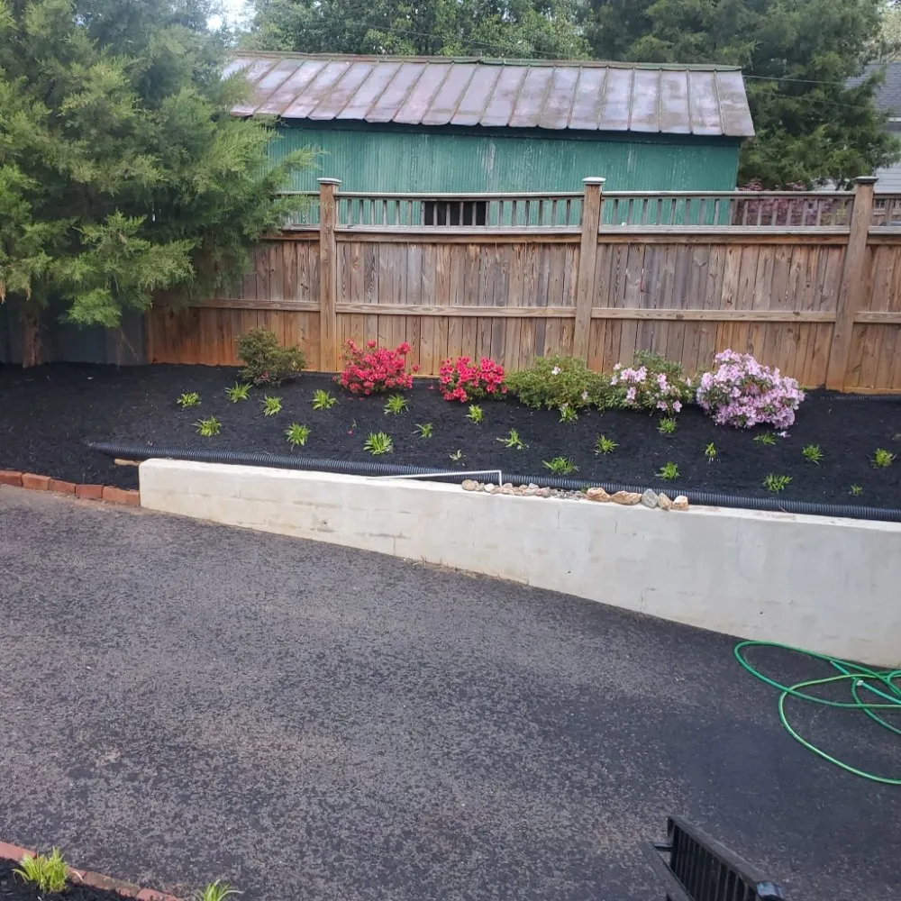 Custom yard cleanup service in Highland Springs, VA by Araujo's lawncare