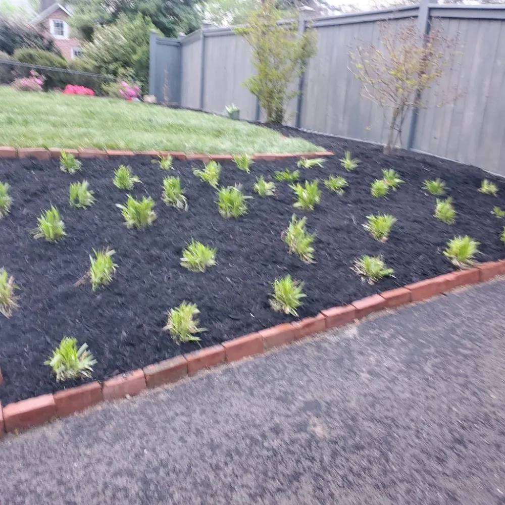 Affordable lawn mowing service near you across Highland Springs, VA - Araujo's lawncare