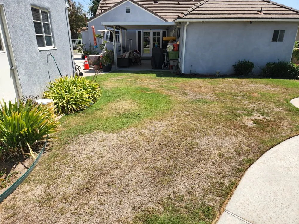 Local outdoor landscaping experts serving Van Nuys, CA - Arbol Landscape