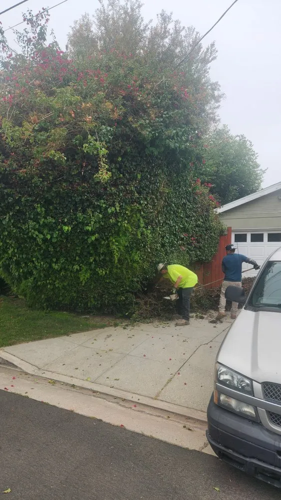 Local landscape installation in Van Nuys, CA - Arbol Landscape