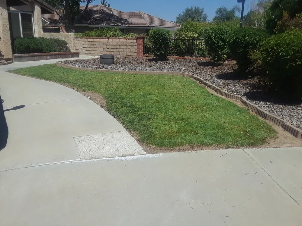 Professional residential landscaping in Van Nuys, CA by Arbol Landscape