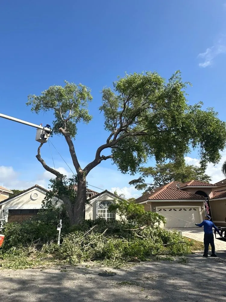 Local lawn mowing service in West Palm Beach, FL - Arbol Pro Services