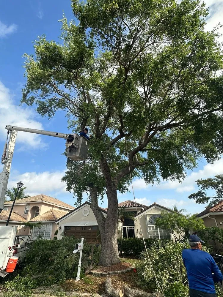 Trusted landscaping services in West Palm Beach, FL by Arbol Pro Services