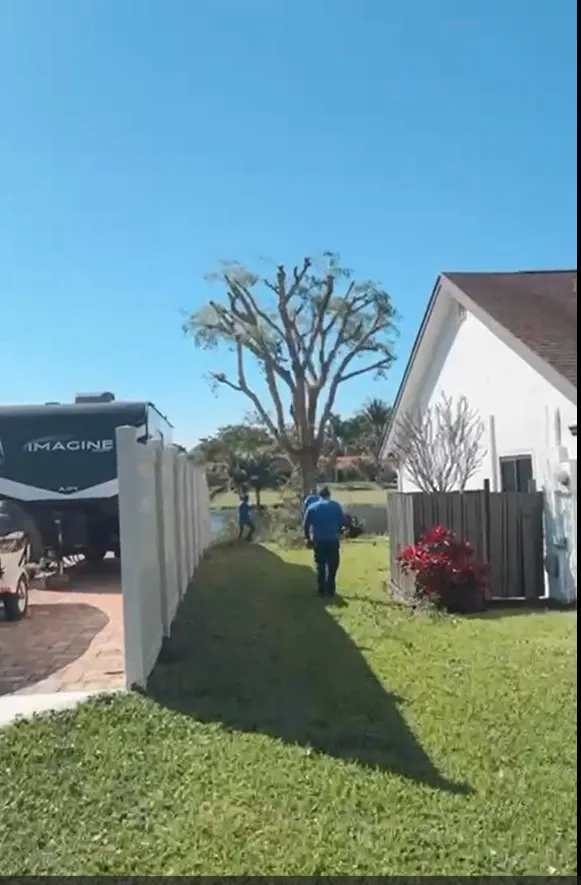 Reliable outdoor landscaping in West Palm Beach, FL by Arbol Pro Services