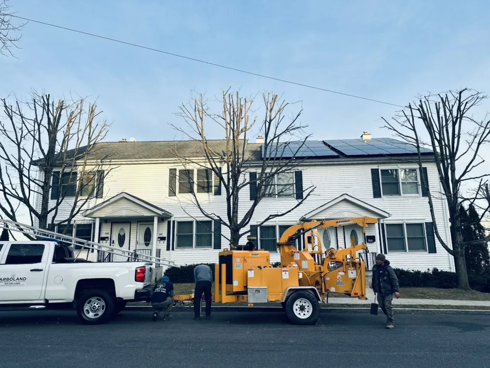 Expert outdoor landscaping in Chappaqua, NY by Arboland