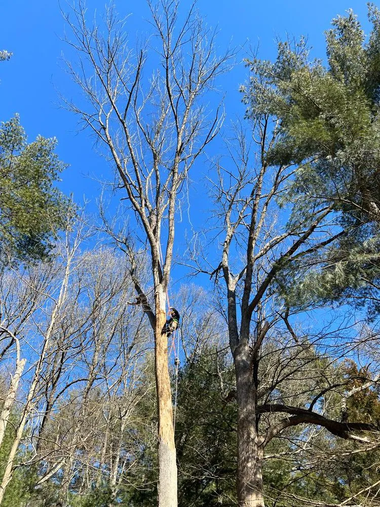 Local residential landscaping for homes across Chappaqua, NY - Arboland