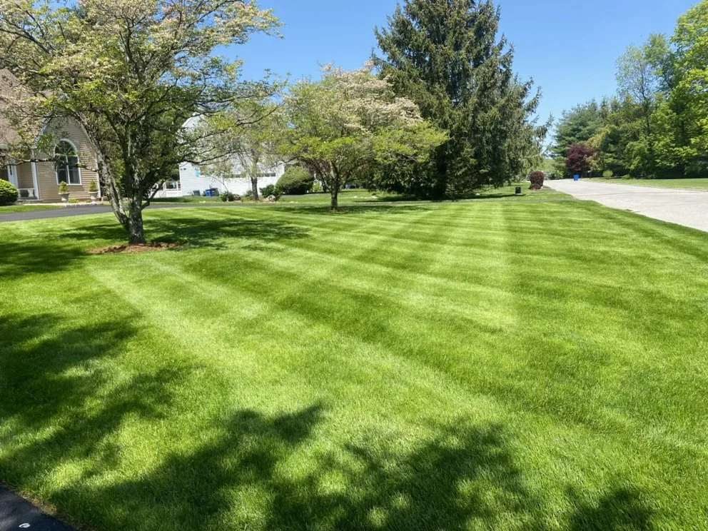 Affordable lawn care service in Chappaqua, NY - Arboland