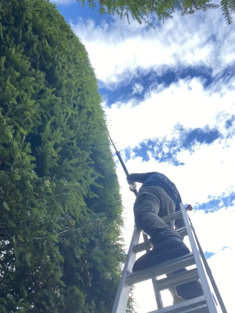 Affordable garden landscaping experts serving Chappaqua, NY - Arboland