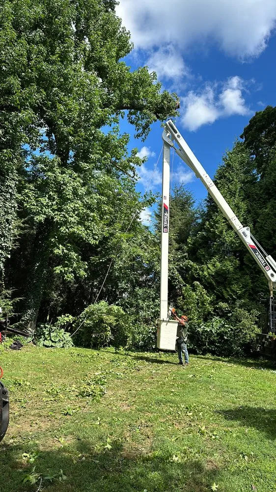 Reliable lawn mowing service in Chappaqua, NY by Arboland