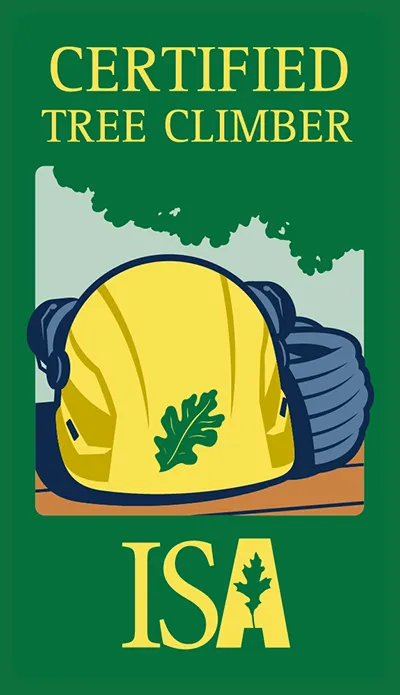 Affordable outdoor landscaping for outdoor upgrades in Queen Creek, AZ by Arboleros Arbor Care