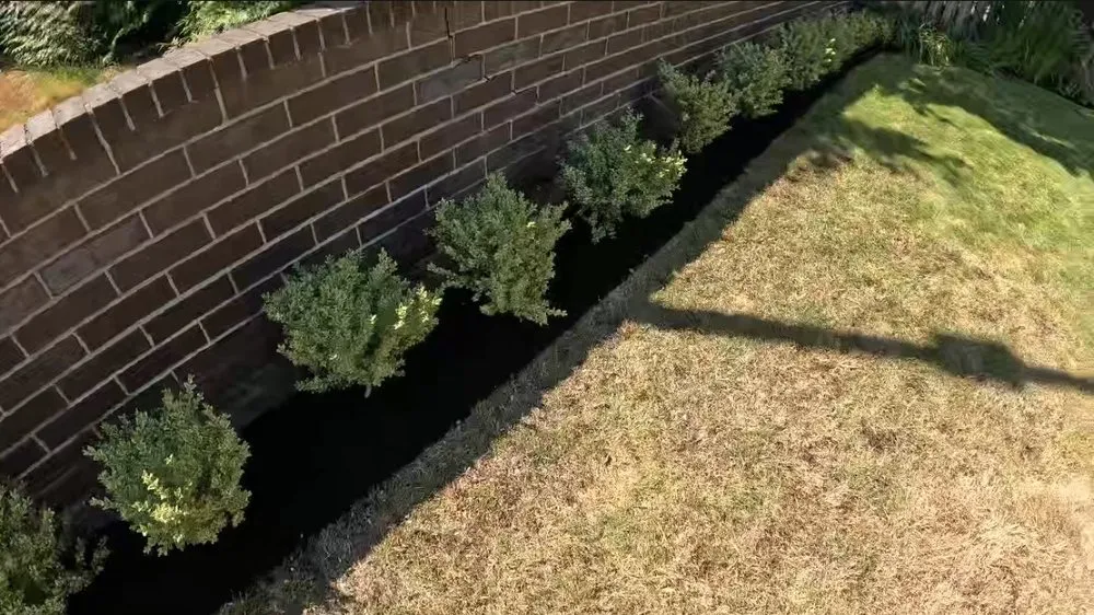 Professional residential landscaping for year-round maintenance in Portland, OR by Arboles