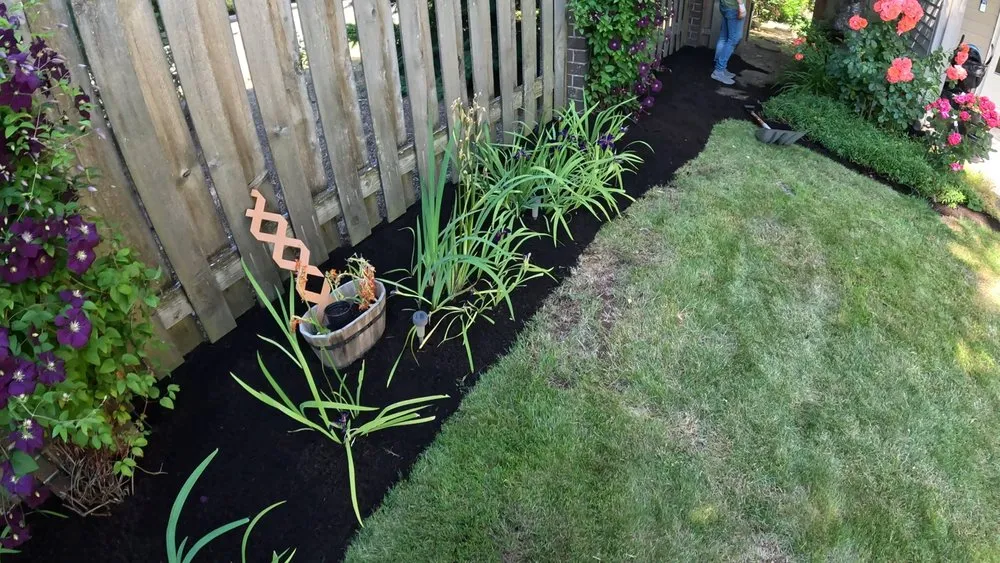 Affordable yard cleanup service in Portland, OR by Arboles