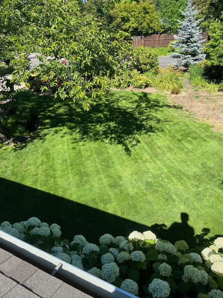 Trusted outdoor landscaping for year-round maintenance across Portland, OR - Arboles
