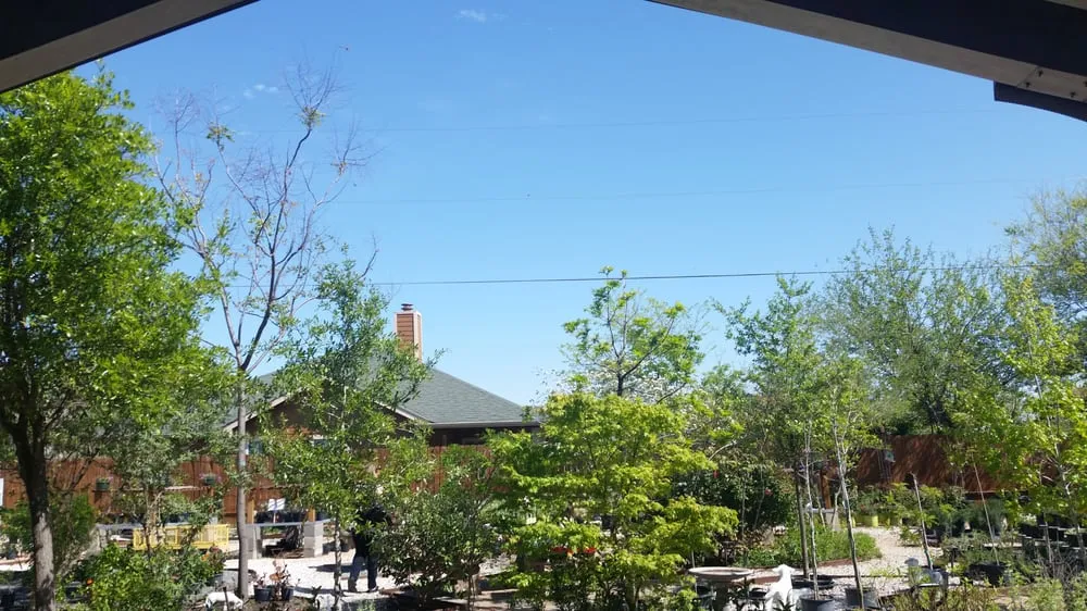 Expert landscape installation near you in Round Rock, TX by Arbolito Horticulture