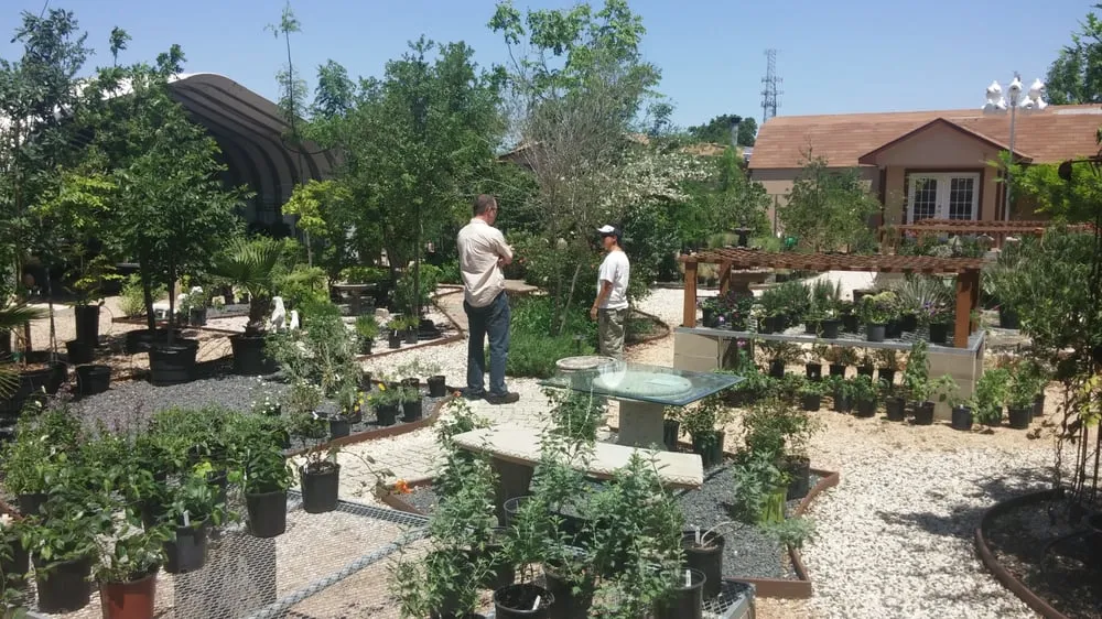 Local garden landscaping in Round Rock, TX - Arbolito Horticulture