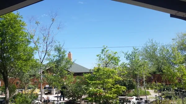 Arbolito Horticulture Logo