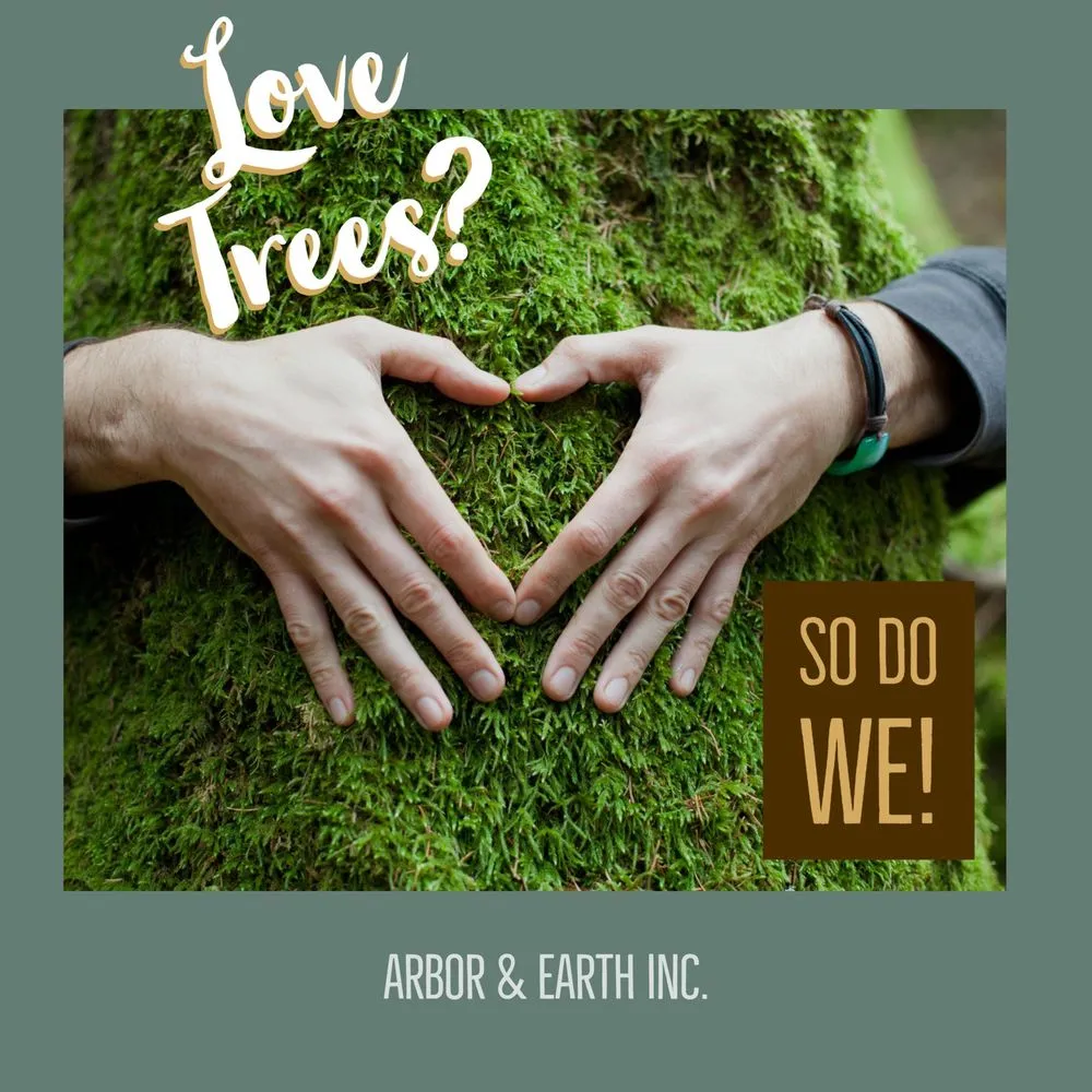 Custom outdoor landscaping in Chico, CA - Arbor & Earth