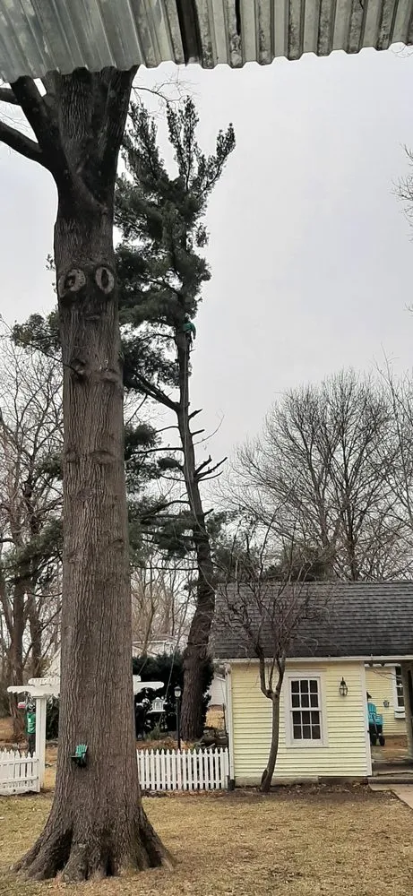 Local lawn mowing service in Clinton, MO - Arbor Accents