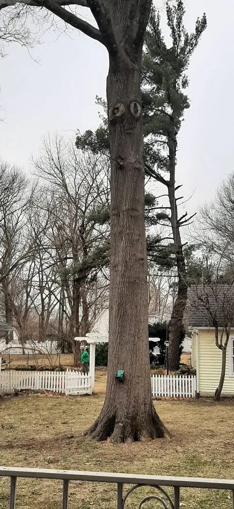 Professional outdoor landscaping with custom design across Clinton, MO - Arbor Accents