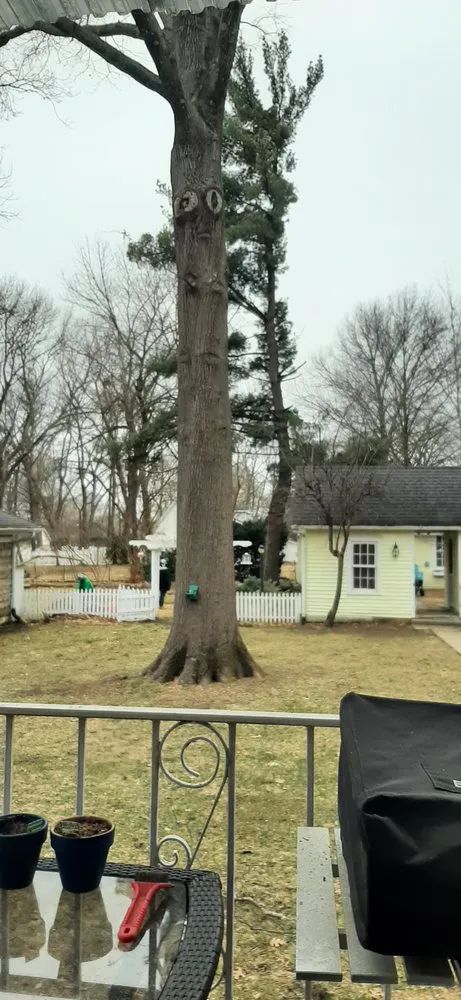 Professional lawn care service for year-round maintenance across Clinton, MO - Arbor Accents