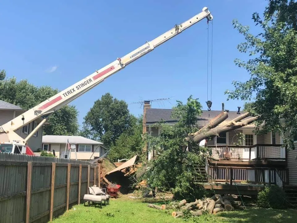 Expert residential landscaping experts serving Clinton, MO - Arbor Accents