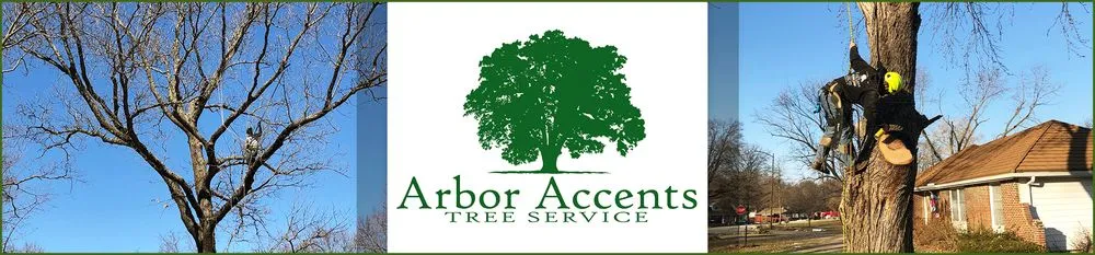 Reliable lawn care service for homes across Clinton, MO - Arbor Accents
