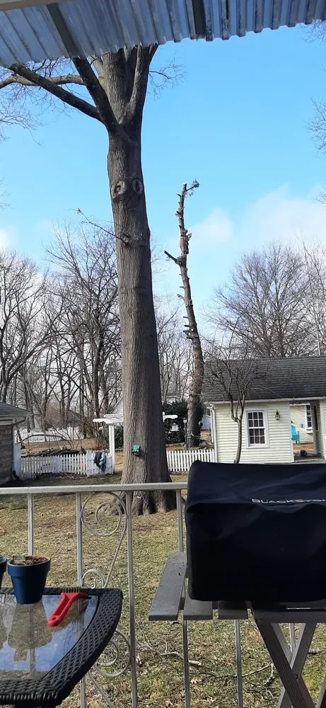 Reliable yard maintenance in Clinton, MO by Arbor Accents