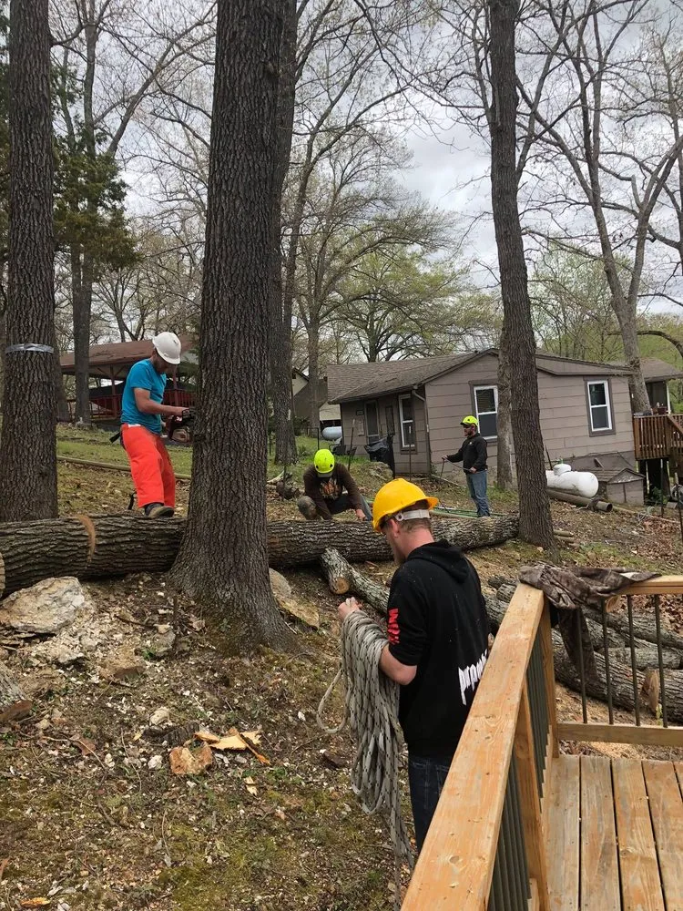 Affordable lawn care service experts serving Clinton, MO - Arbor Accents