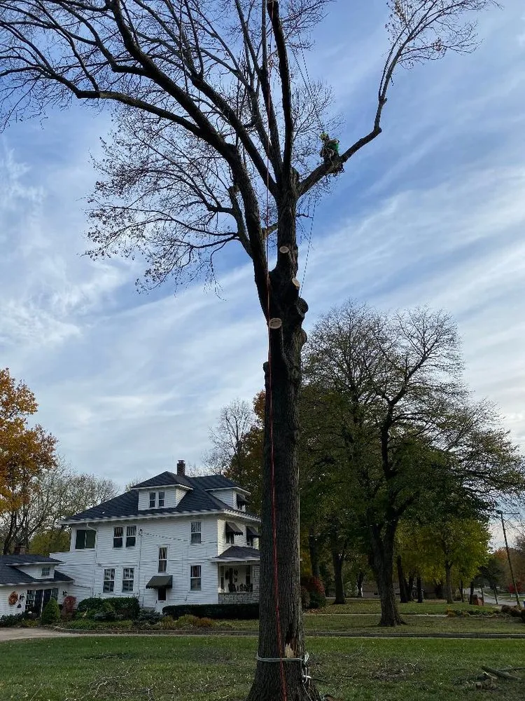 Trusted residential landscaping for outdoor upgrades in Clinton, MO by Arbor Accents