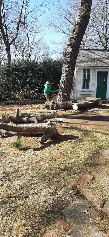 Top-rated lawn mowing service in Clinton, MO - Arbor Accents