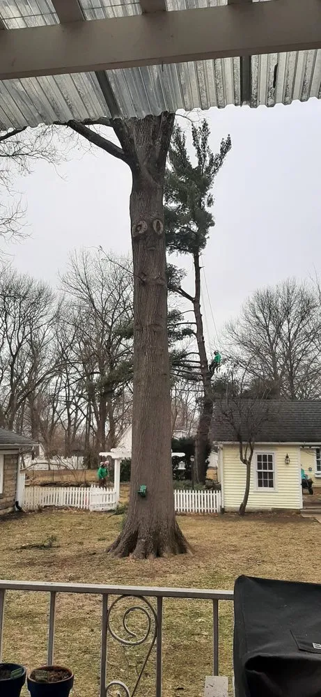 Reliable landscape design experts serving Clinton, MO - Arbor Accents