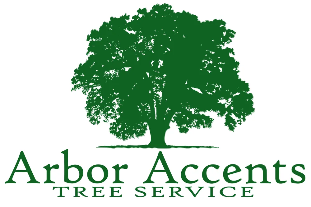 Expert yard cleanup service experts serving Harrisonville, MO - Arbor Accents