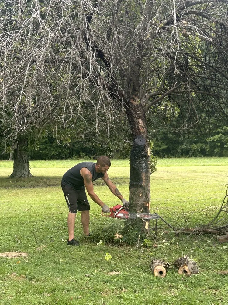 Expert outdoor landscaping experts serving Benton, KY - Arbor Ace Landscapes