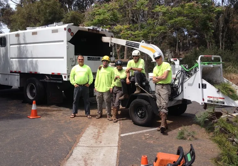 Local outdoor landscaping in Oceanside, CA by Arbor Age Tree Services