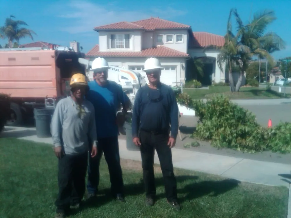 Reliable landscape design for residential properties across Oceanside, CA - Arbor Age Tree Services
