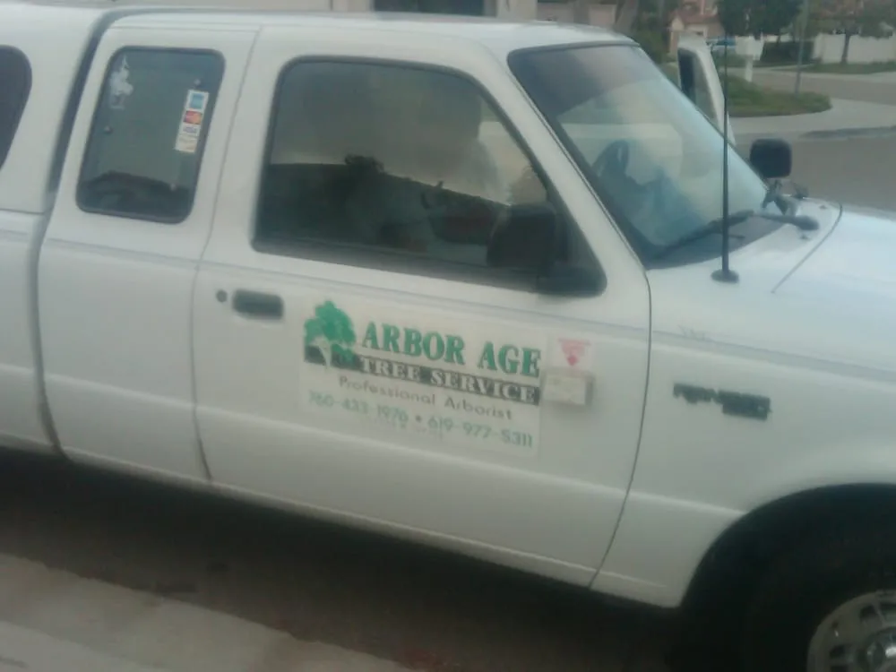 Custom yard cleanup service in Oceanside, CA - Arbor Age Tree Services