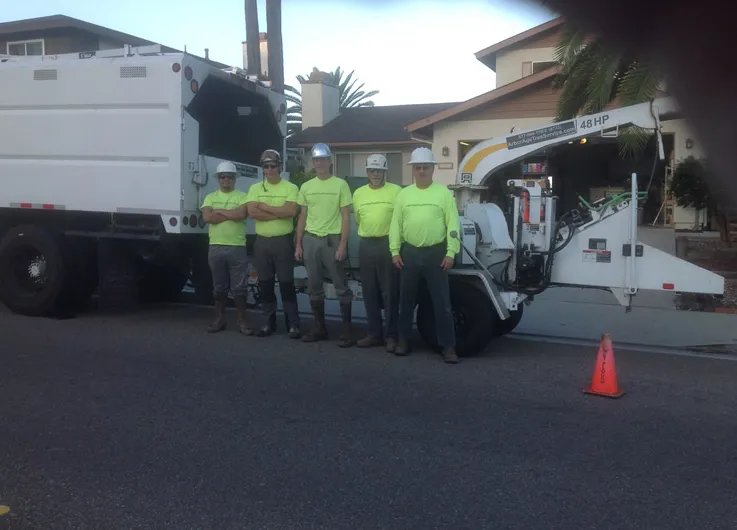 Top-rated landscape design with custom design in Oceanside, CA by Arbor Age Tree Services