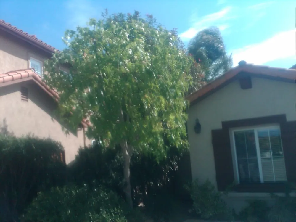 Professional garden landscaping experts serving Oceanside, CA - Arbor Age Tree Services