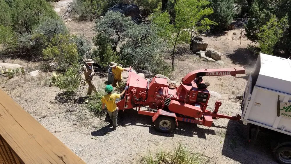 Professional outdoor landscaping in Skull Valley, AZ - Arbor Art