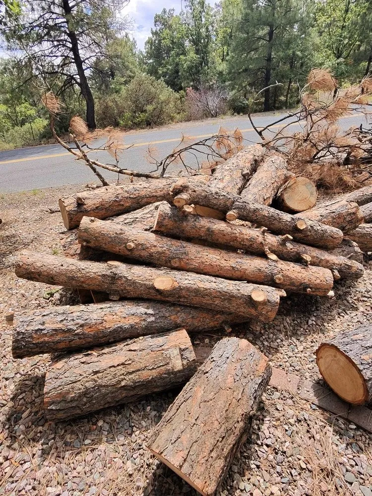 Local lawn care service for homes across Skull Valley, AZ - Arbor Art