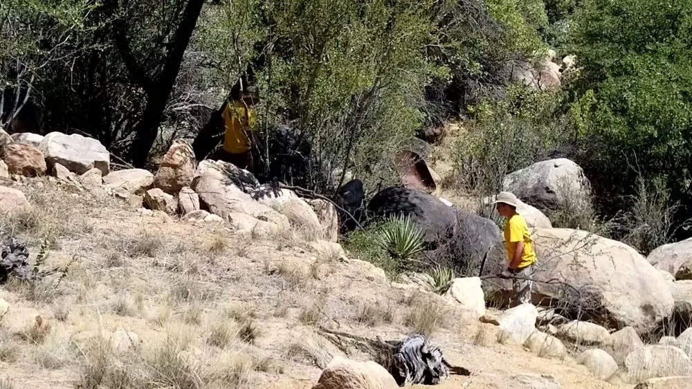 Local lawn mowing service in Skull Valley, AZ - Arbor Art