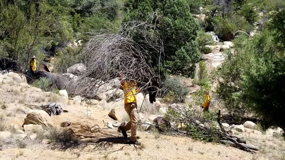 Custom landscaping services for beautiful yards in Skull Valley, AZ by Arbor Art