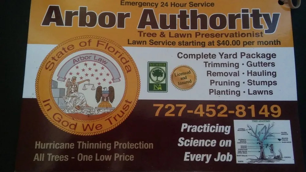 Top-rated landscape design in Tampa Bay, FL - Arbor Authorty