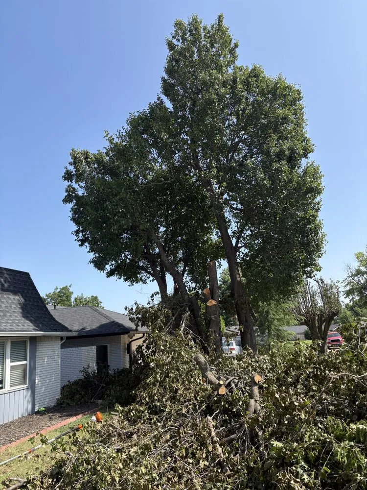 Custom landscaping services experts serving Del City, OK - Arbor Bros Tree Care and Landscaping