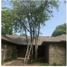 Local lawn mowing service experts serving Del City, OK - Arbor Bros Tree Care and Landscaping