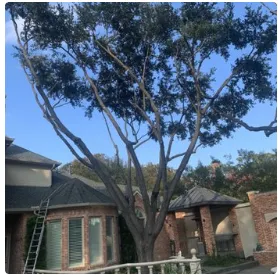 Professional lawn mowing service in Del City, OK - Arbor Bros Tree Care and Landscaping