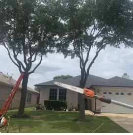 Local lawn mowing service for year-round maintenance in Del City, OK by Arbor Bros Tree Care and Landscaping