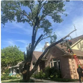 Expert residential landscaping experts serving Del City, OK - Arbor Bros Tree Care and Landscaping